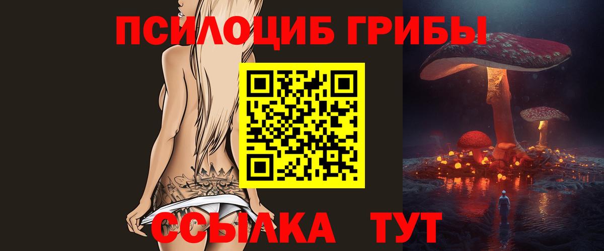Псилоцибиновые грибы ЛСД  Вход с VPN  Псилоцибиновые грибы мухоморы  Тамбов 