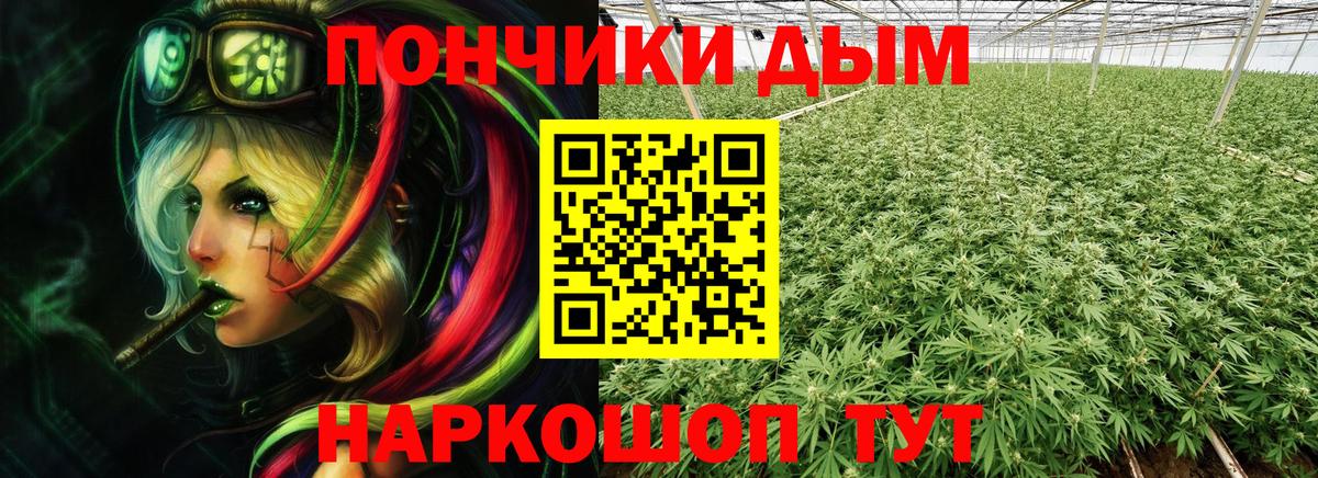 МАРИХУАНА тримм Тамбов